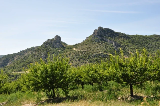 Beauvoisin